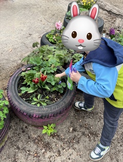 Osterhasensuche